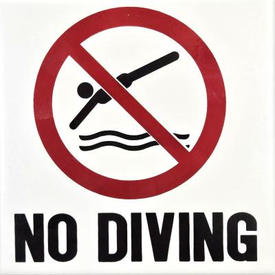 NEW FL NO DIVE